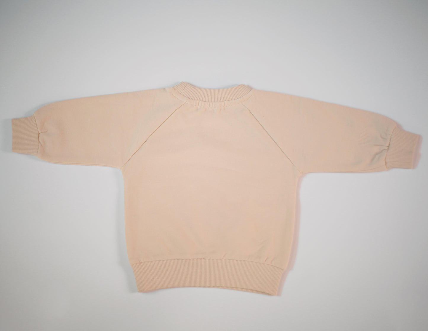 Teddy Sweatshirt in Cream