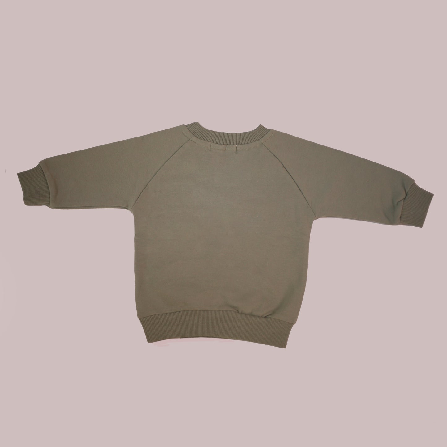 Teddy Sweatshirt in Sage