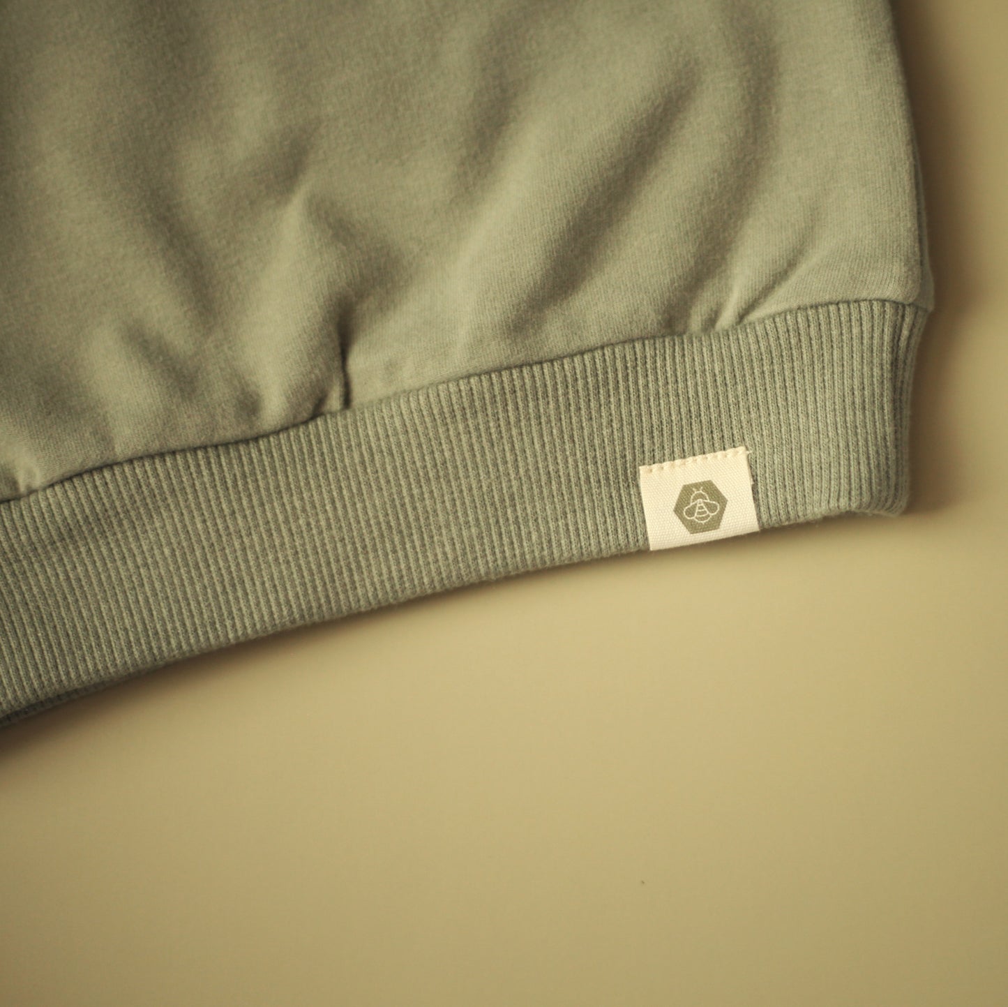 Teddy Sweatshirt in Sage