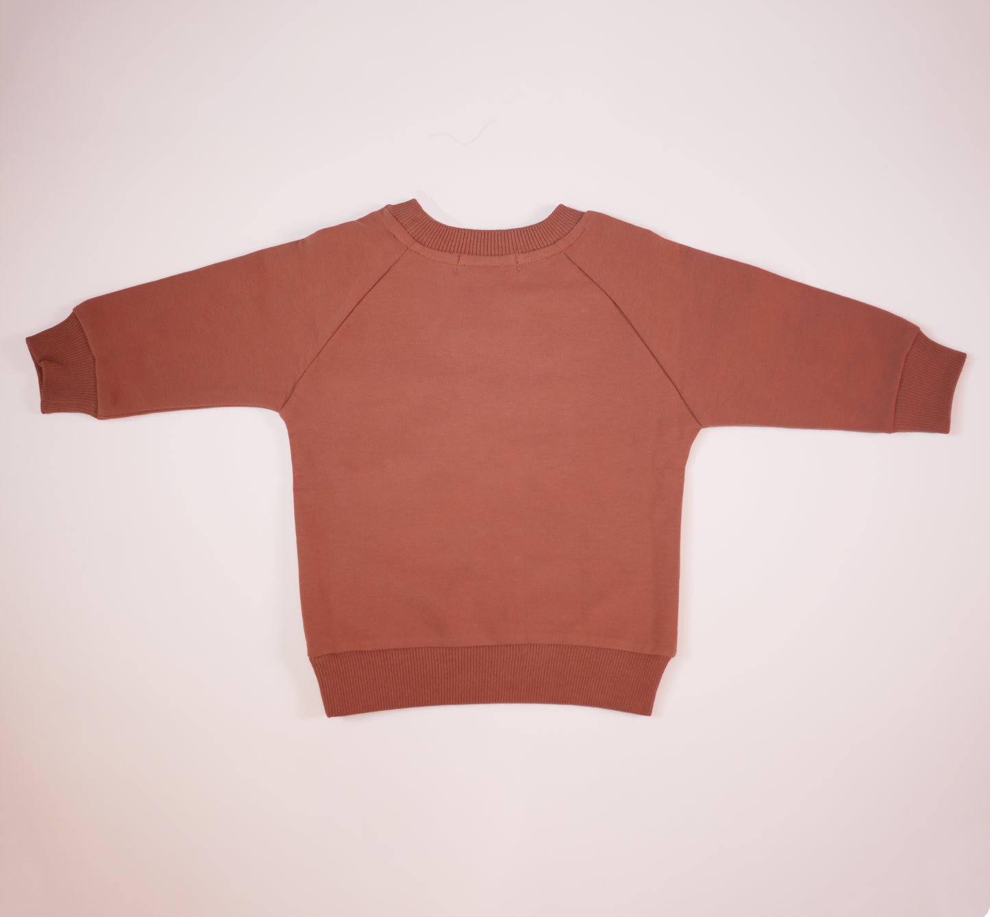 Teddy Sweatshirt in Rose