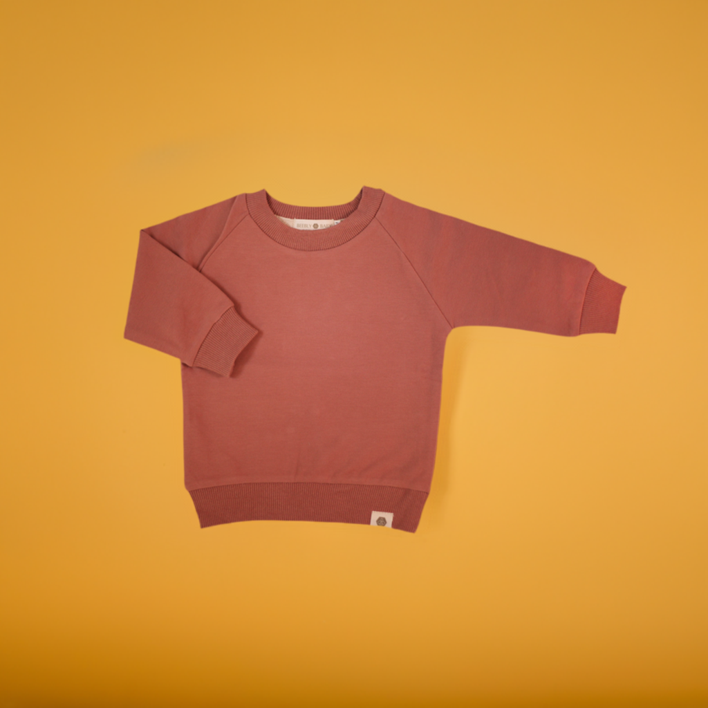 Teddy Sweatshirt in Rose